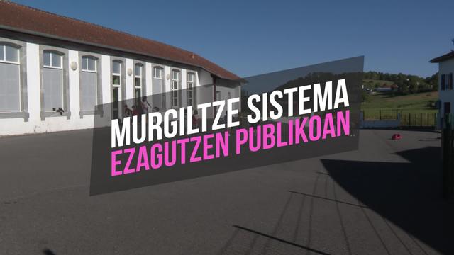Murgiltze sistema ezagutzen publikoan