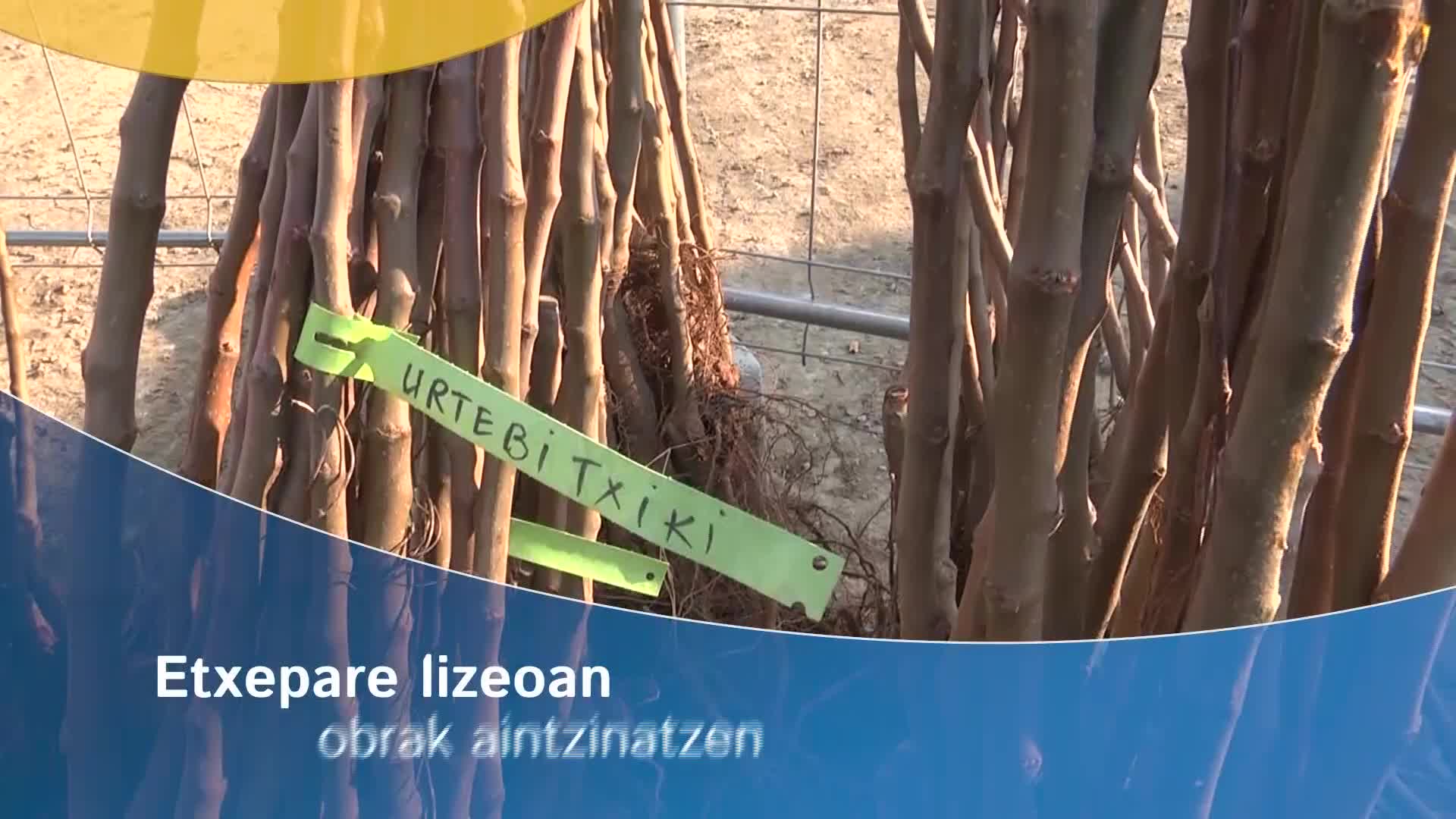 Etxepare lizeoan obrak aintzinatzen