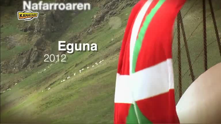 Nafarroaren Eguna 2012 : eguna iruditan (2)