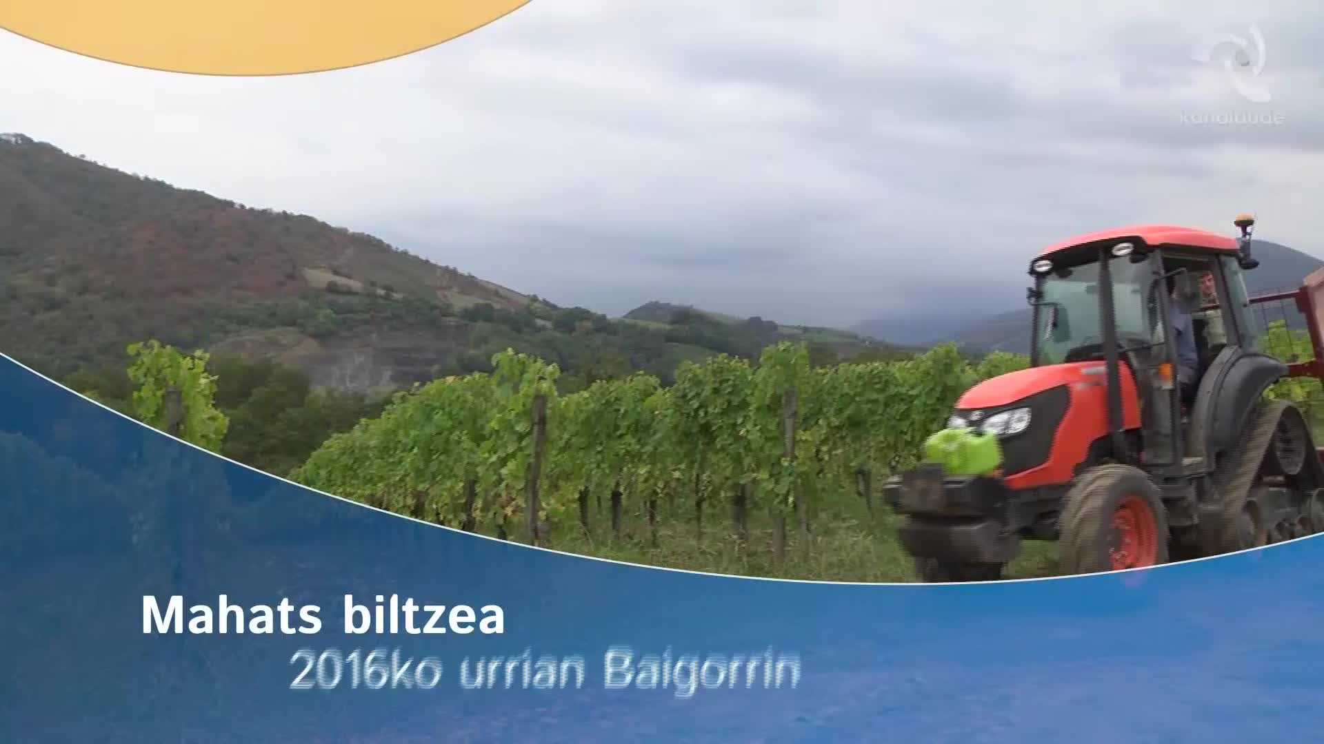 Mahats biltzea 2016ko urrian Baigorrin