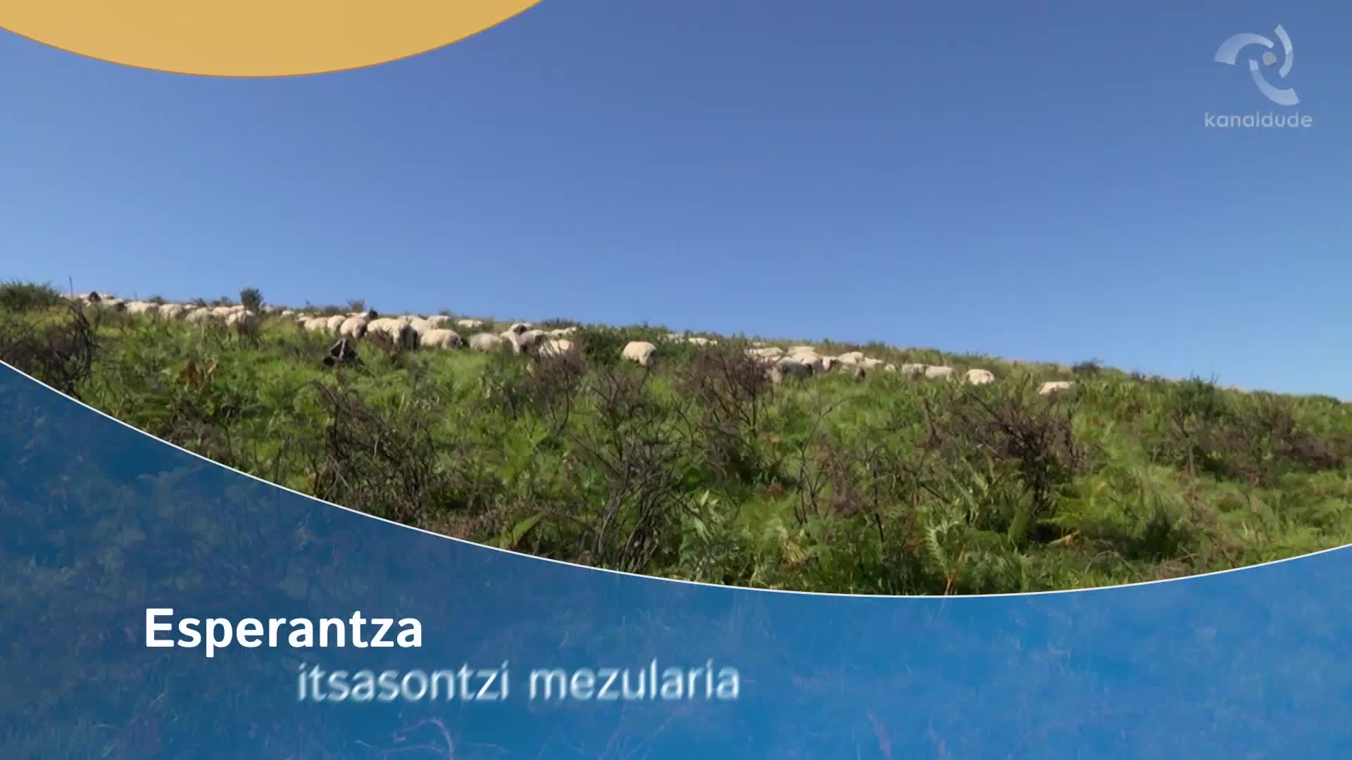 Esperantza: itsasontzien mezularia