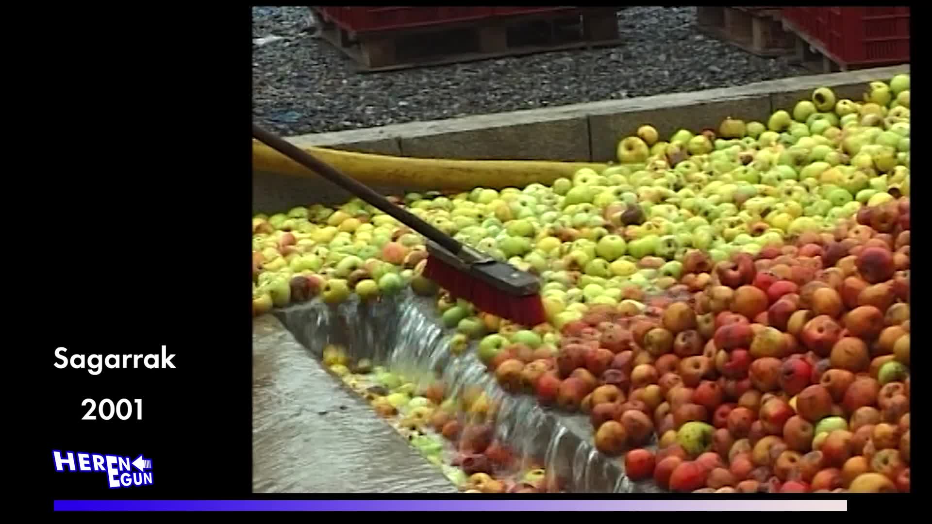 Landibarre eta Larzabaleko sagardiak 2001ean