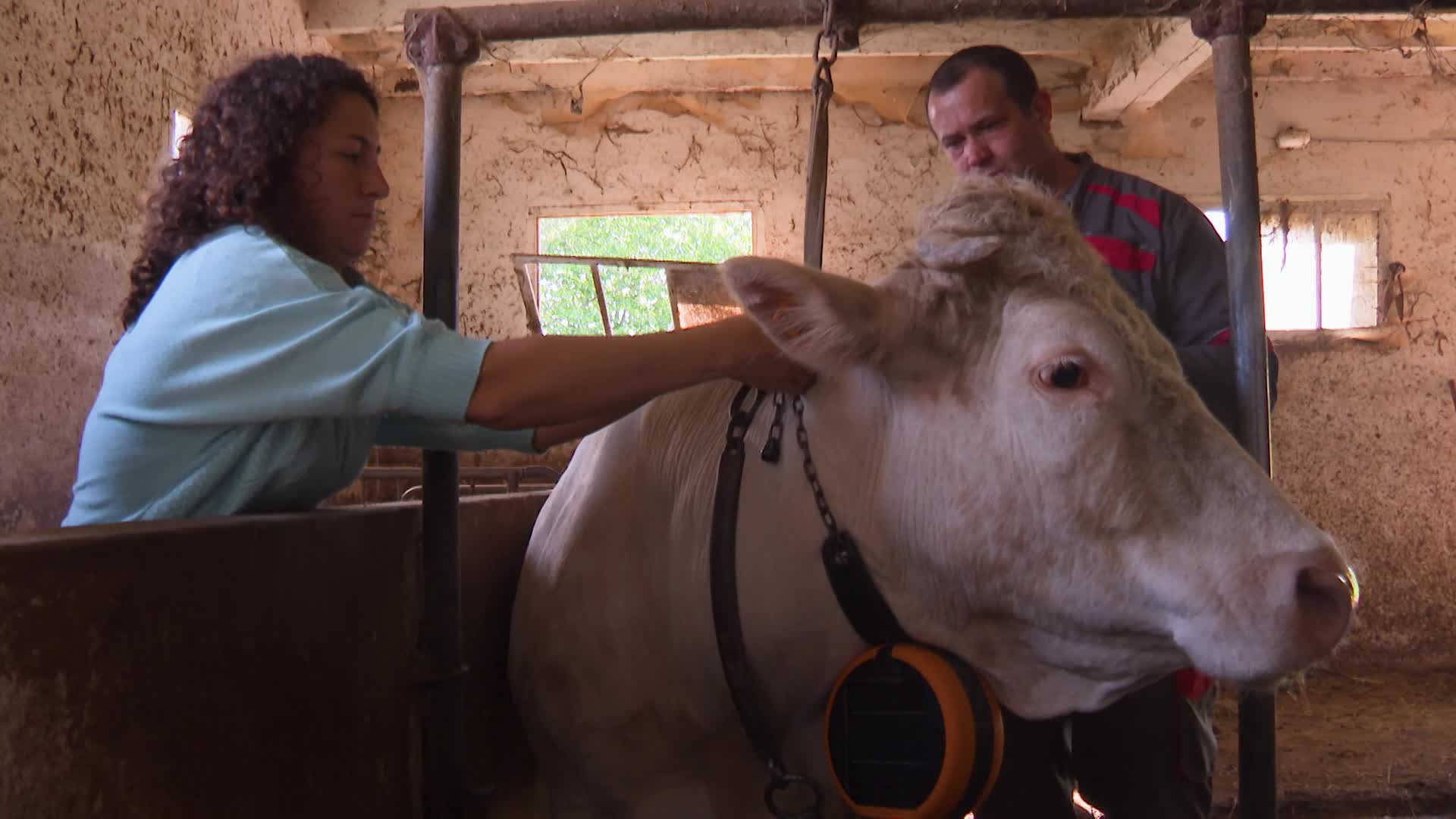 Hesi birtualak mendian kabalak zaintzeko