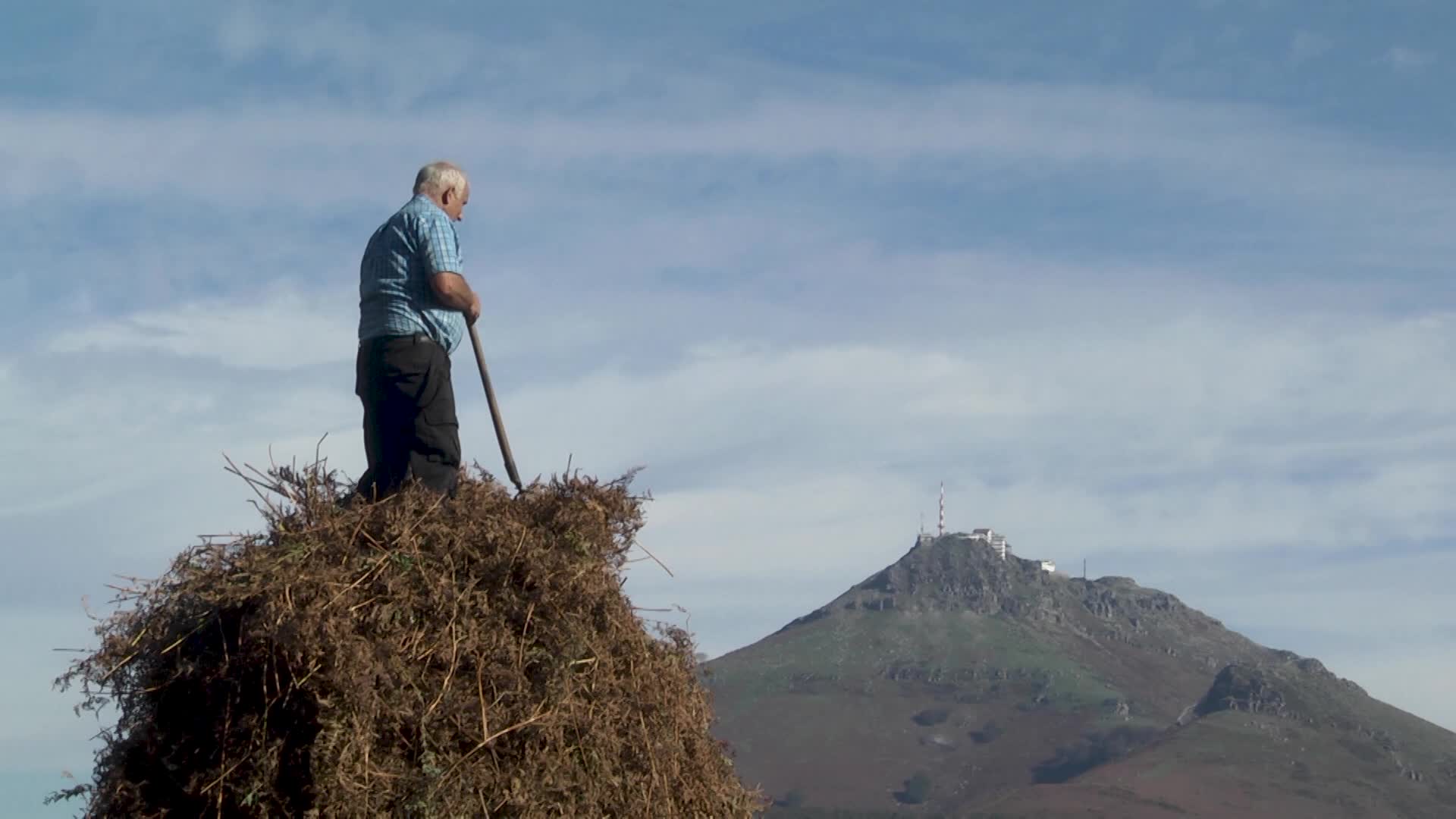 Meta egunak Batzarlekun