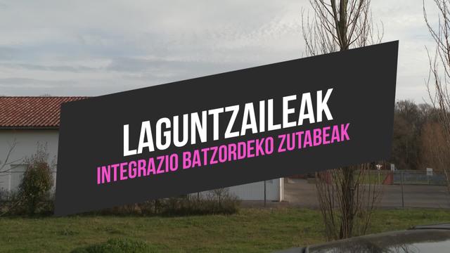 Laguntzaileak integrazio batzordeko zutabeak