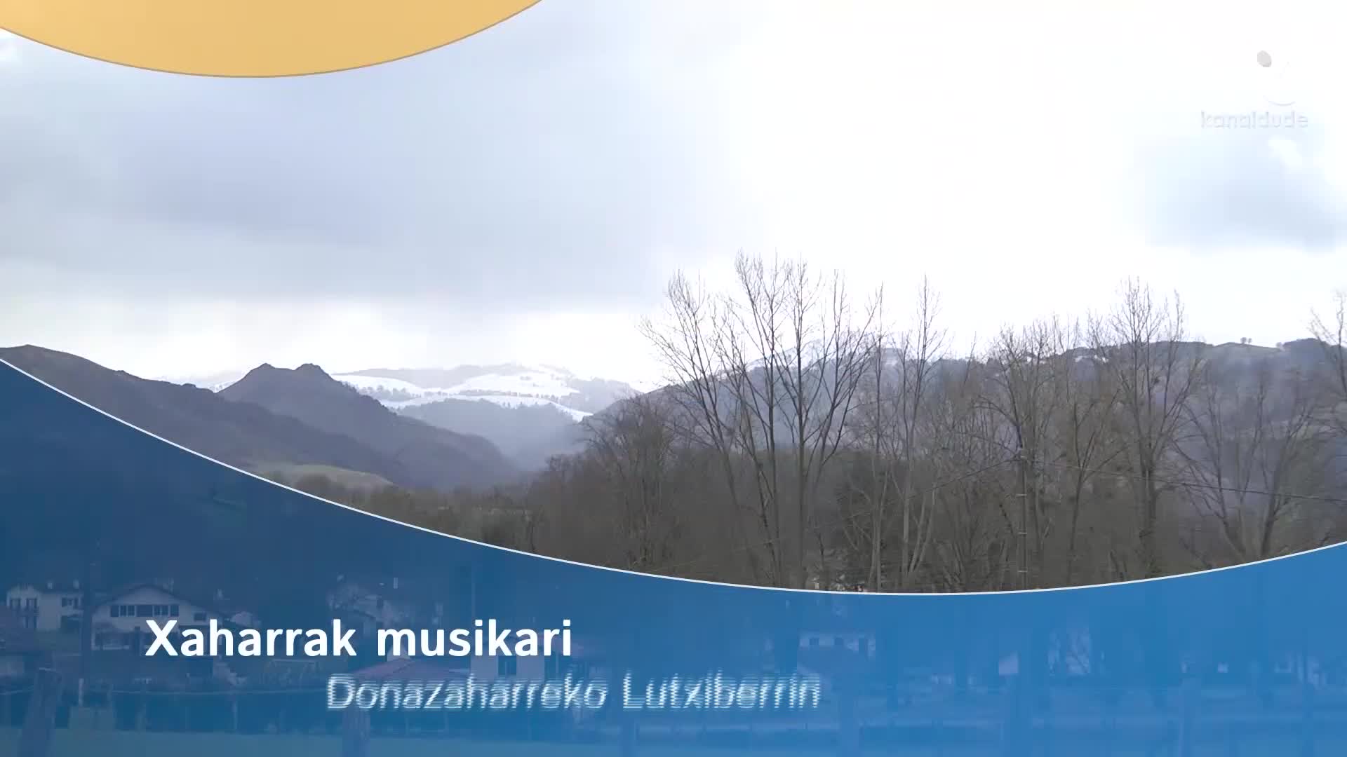 Xaharrak musikari Donazaharreko Lutxiberrin