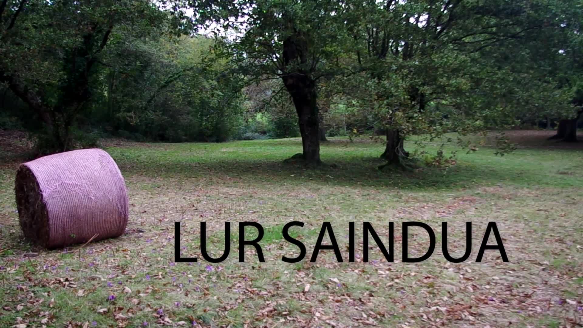 KLIKLAP 2014: Lur Saindua