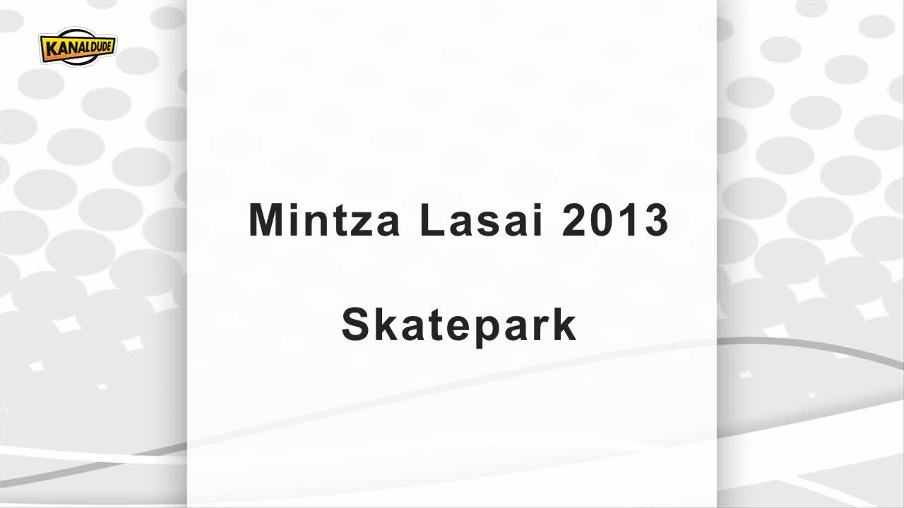 Mintzalasai 2013 : Skatepark