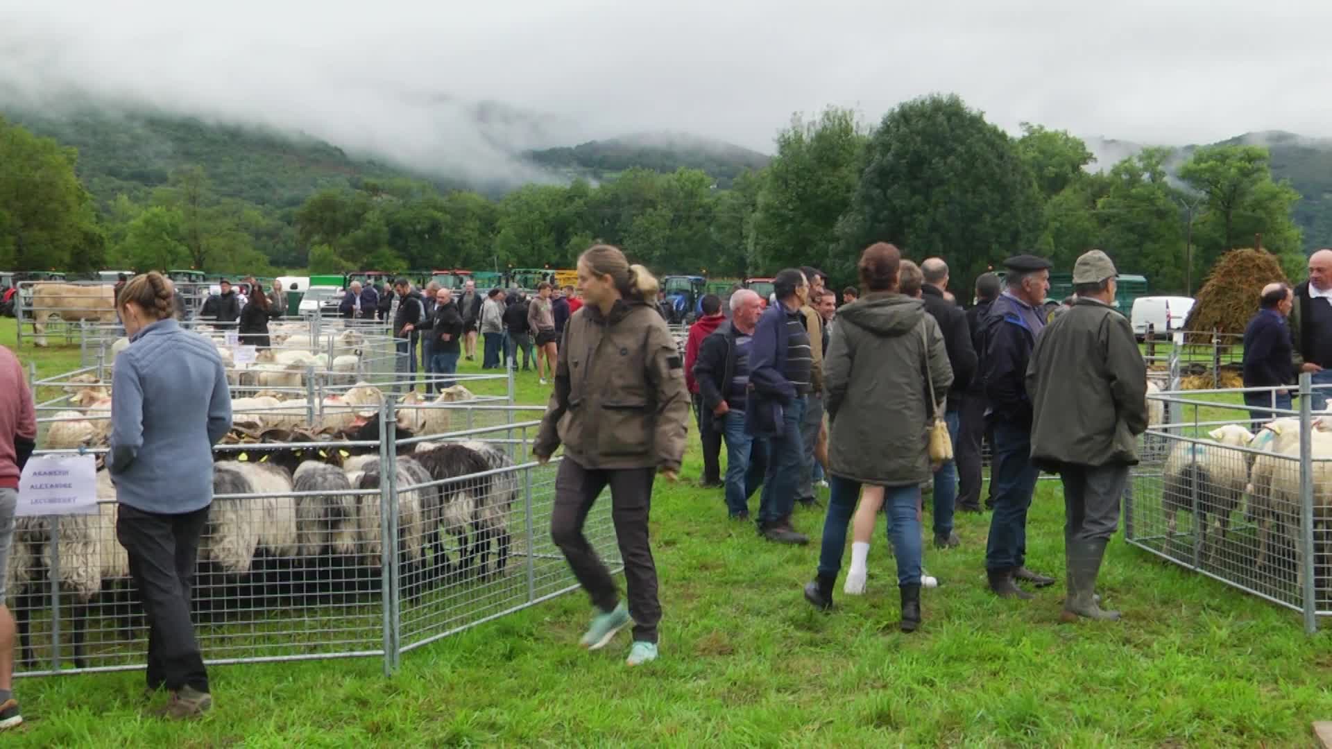 Hergarai bizi 2025 Ahatsan