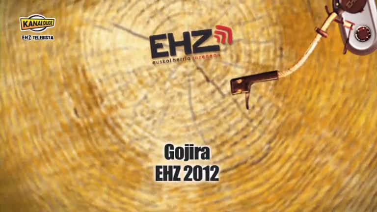 EHZ 2012 : Gojira