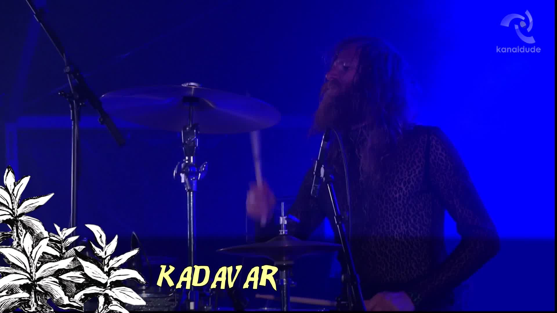 EHZ 2016: Kadavar